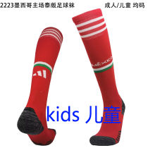 2020/23 Mexico Home Red Kids Sock