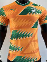 2024 Ivory Coast Special Edition Orange Player Version Jersey