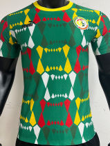 2023/24 Senegal Green Player Version Jersey