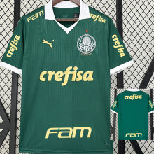 2024/25 Palmeiras 1:1 Quality Home Fans Jersey (All Sponsor 全广告)