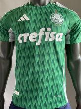 2024/25 Palmeiras Special Edition Green Player Version Jersey （AD~啊迪款）