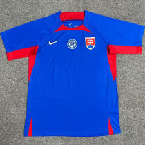 2024/25 Slovakia Home Blue Fans Soccer Jersey 斯洛伐克