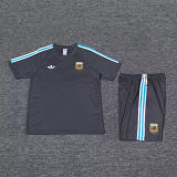 2024/25 Argentina Grey Training Tracksuit