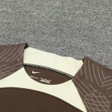 2024/25 Corinthians Brown Vest Training Jersey(A Set)