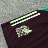 2025 Mexico Brown Vest Training Jersey(A Set)