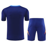 2025 JUV Sapphire Blue Training Jersey(A Set)