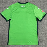 2024/25 LEGANES Away Green Fans Soccer Jersey