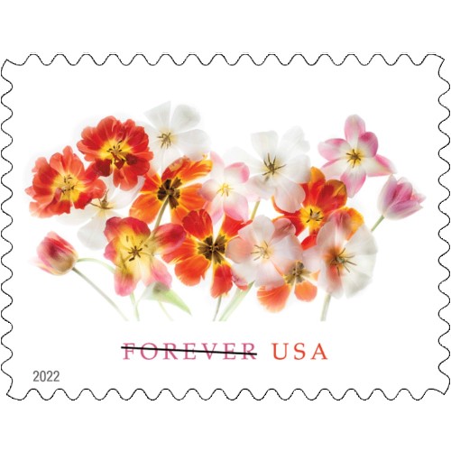 Tulips 2022   (Sheet)