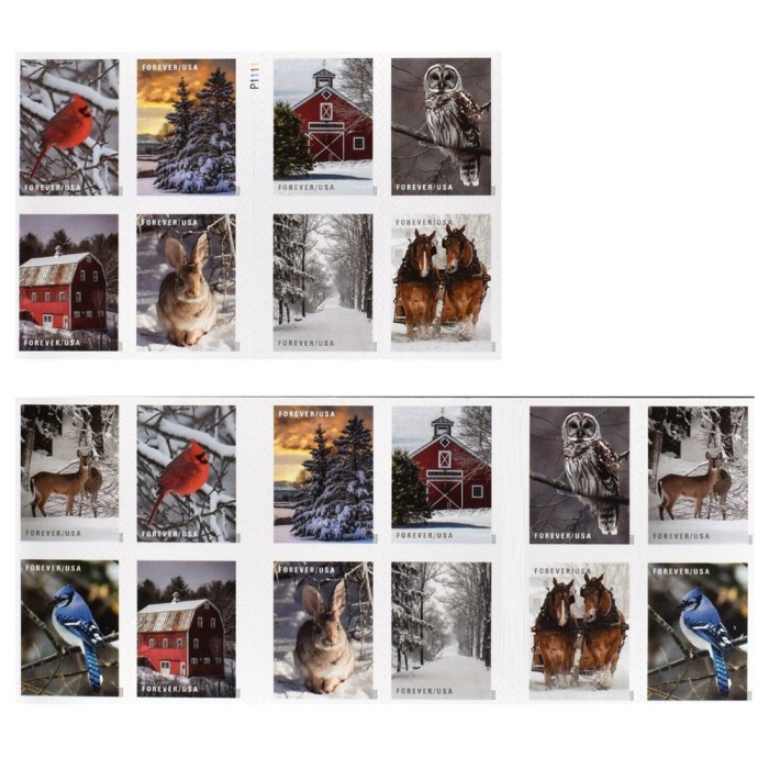 Winter Scenes 2020  (Book)