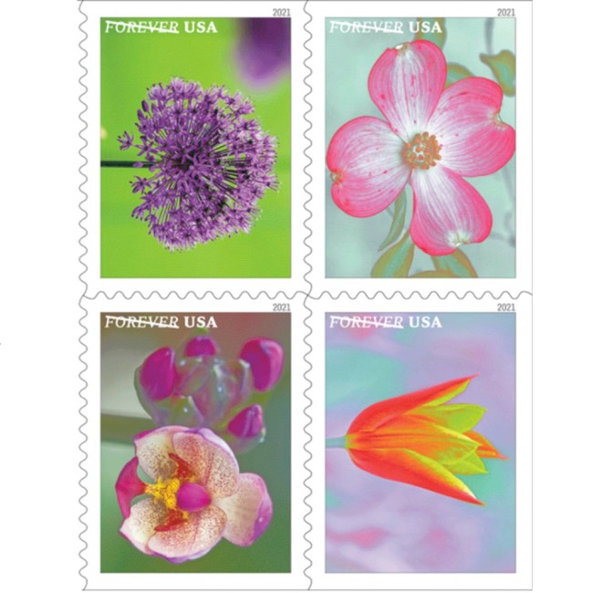 Garden Beauty 2021 (Book)