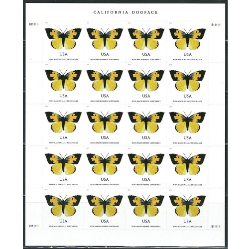 California Dogface 2019  (Sheet)