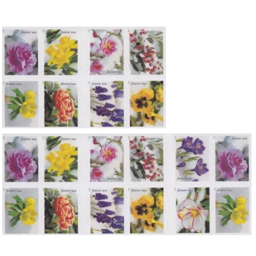 Snowy Beauty 2022  (Book)