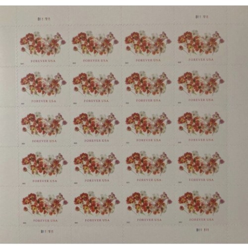 Tulips 2022   (Sheet)