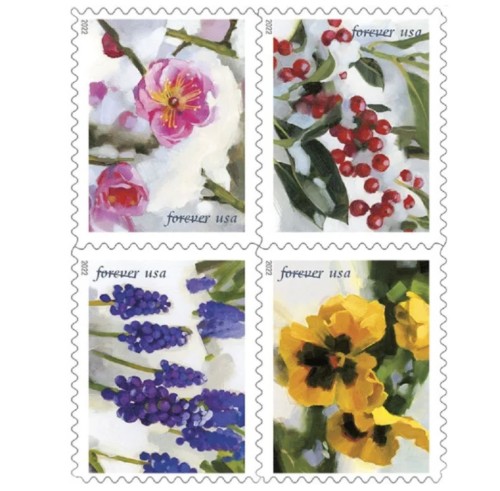 Snowy Beauty 2022  (Book)