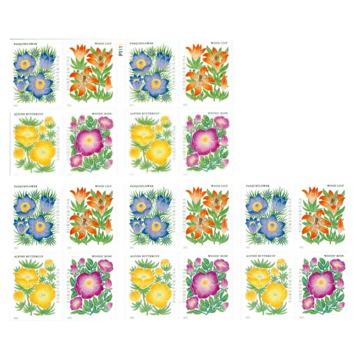 Mountain Flora 2022   (Book)