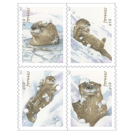 Otters in Snow 2021   (Book)