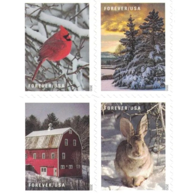 Winter Scenes 2020  (Book)