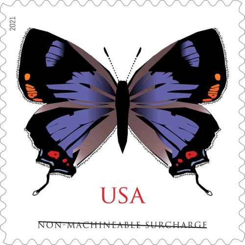 Colorado Hairstreak 2021 (Sheet)
