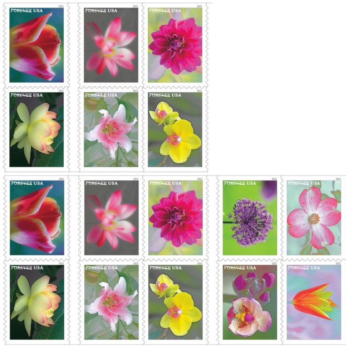 Garden Beauty 2021 (Book)