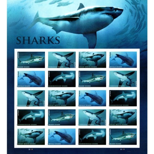 Sharks 2017   (Sheet)