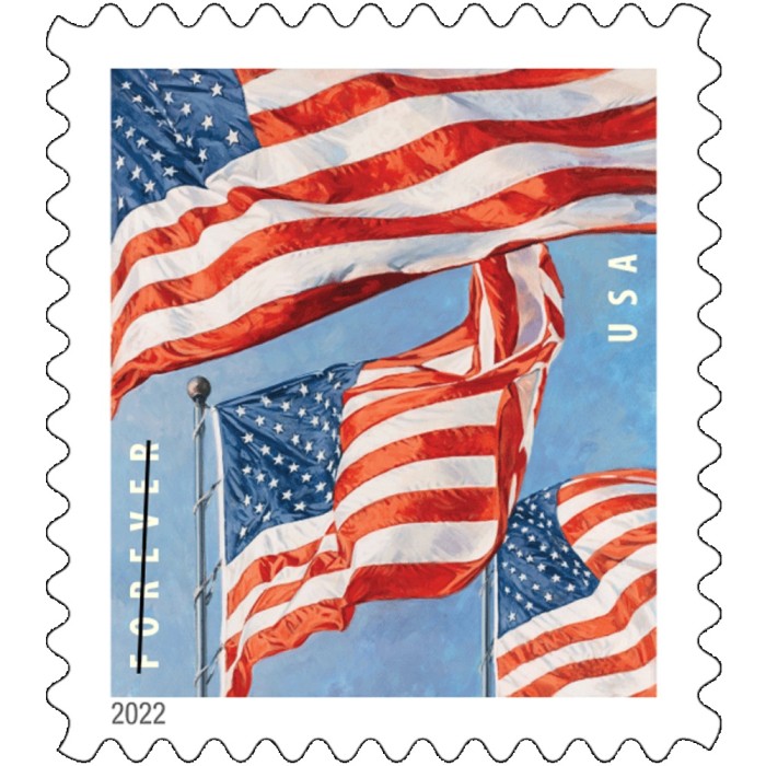 Flag 2022  (Roll/Coil)