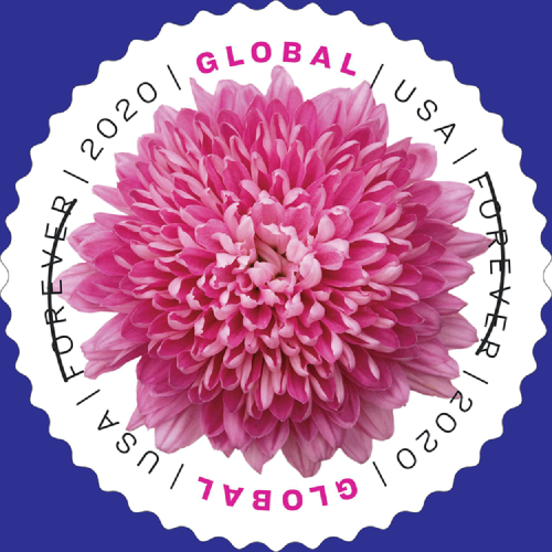 Global Chrysanthemum 2020  (Sheet)
