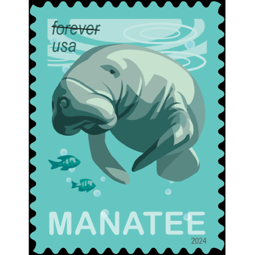 Save Manatees  2024 (Book)