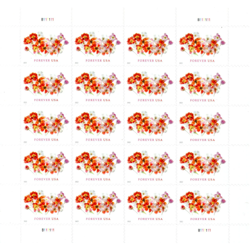 Tulips 2022 - 5 Sheets / 100 Pcs