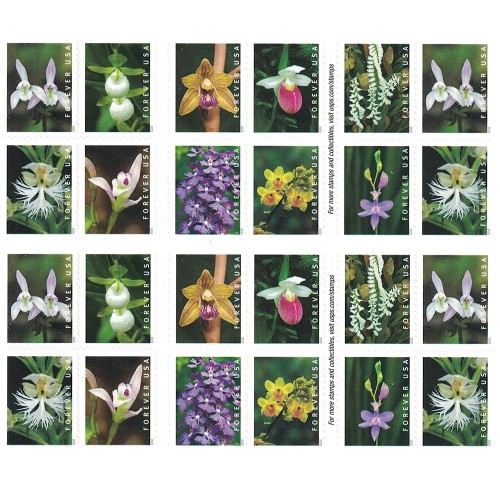 Wild Orchids 2020 - 5 Booklets / 100 Pcs