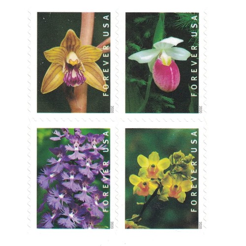 Wild Orchids 2020 - 5 Booklets / 100 Pcs