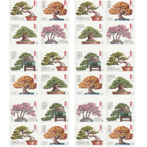 Bonsai 2012 - 5 Booklets / 100 Pcs