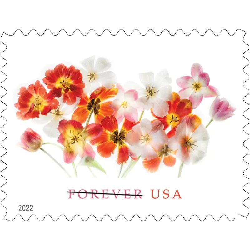 Tulips 2022 - 5 Sheets / 100 Pcs