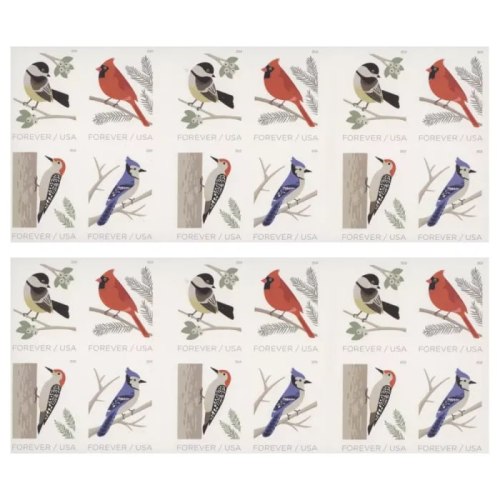 Birds in Winter 2018 - 5 Booklets / 100 Pcs