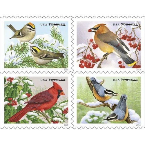 Songbirds in Snow 2016 - 5 Booklets / 100 Pcs