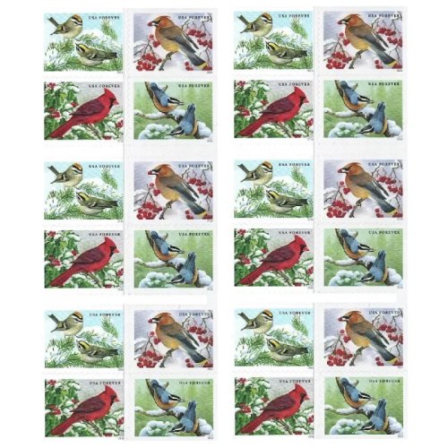 Songbirds in Snow 2016 - 5 Booklets / 100 Pcs