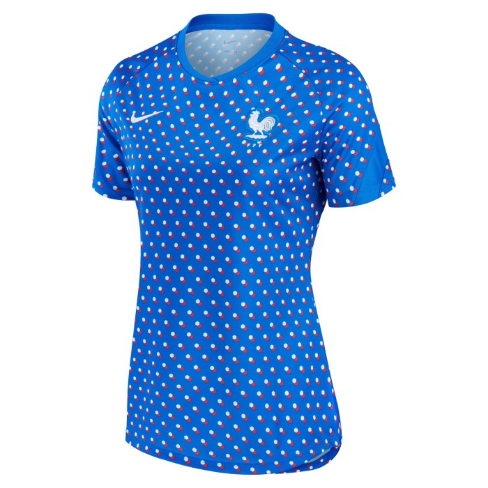 France Women's National Team Nike Women's 2022/23 Away Pre-Match Performance Top - Blue