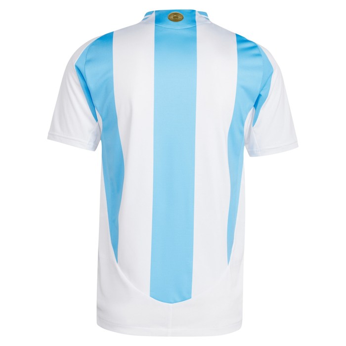 Argentina National Team adidas 2024 Home Authentic Jersey - White
