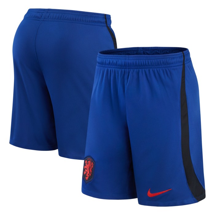 Netherlands National Team Nike Away Performance Stadium Shorts - Royal