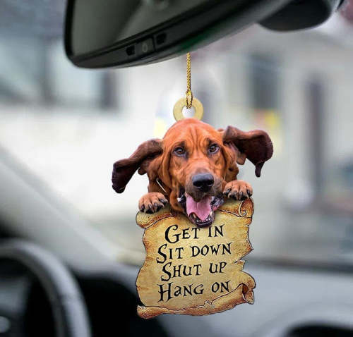 Bloodhound get in two sided ornament