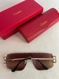 Occhiali Cartier - BOX COMPLETO