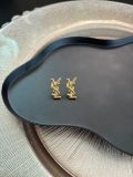 Orecchini YSL