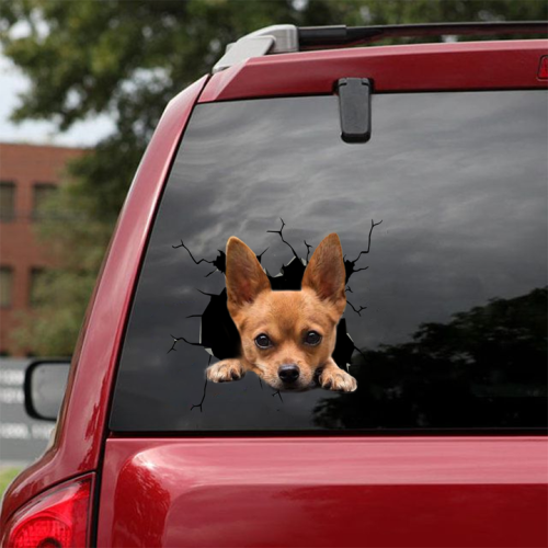 Chihuahua Crack Sticker