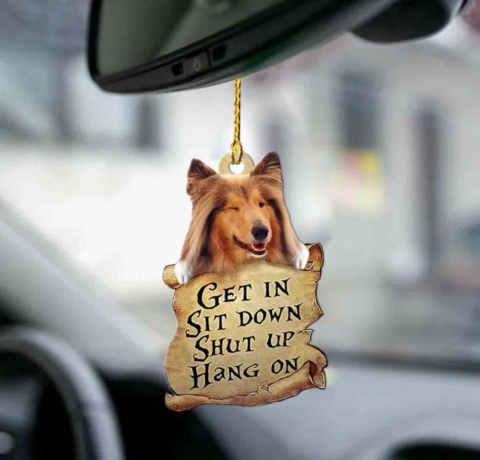 Sheltie get in sheltie lovers two sided ornament