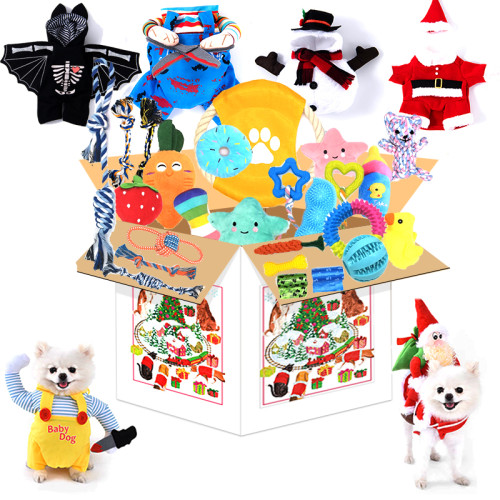 DOG Exclusive BOX – The Best Gifts Pack for Pet