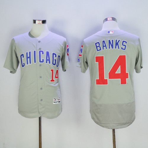 Chicago Cubs 14 Ernie Banks Flexbase Baseball Jersey Gray