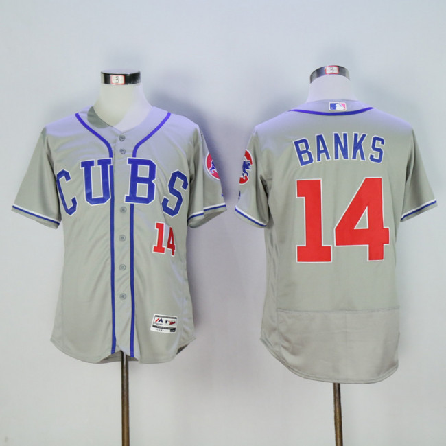 Chicago Cubs 14 Ernie Banks Flexbase Baseball Jersey Gray