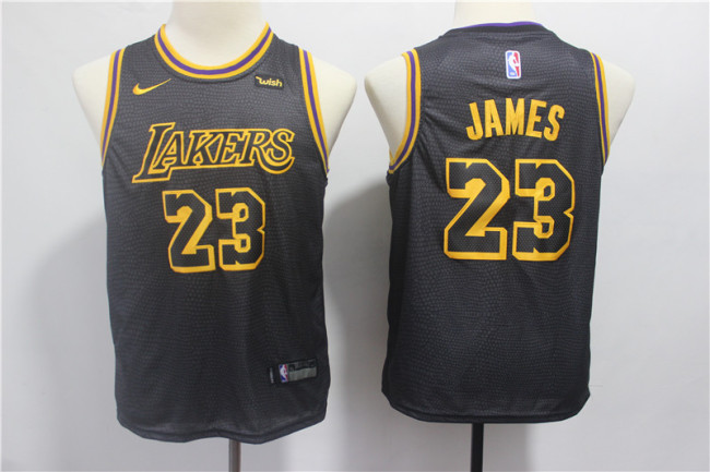 Youth Nike Los Angeles Lakers 23 LeBron James Basketball Jersey Black Fan