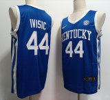 Kentucky Wildcats 44 Zvonimir Ivisic College Basketball Jersey Blue