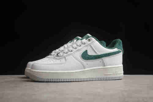 Air Force 1 Low  Ducks of a Feather  Division Street