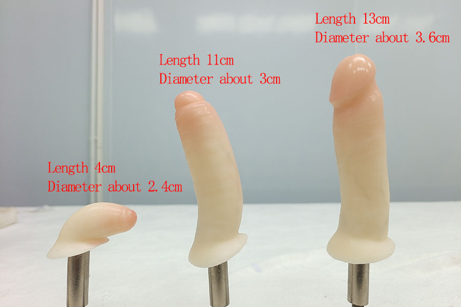 Penis size comparison chart